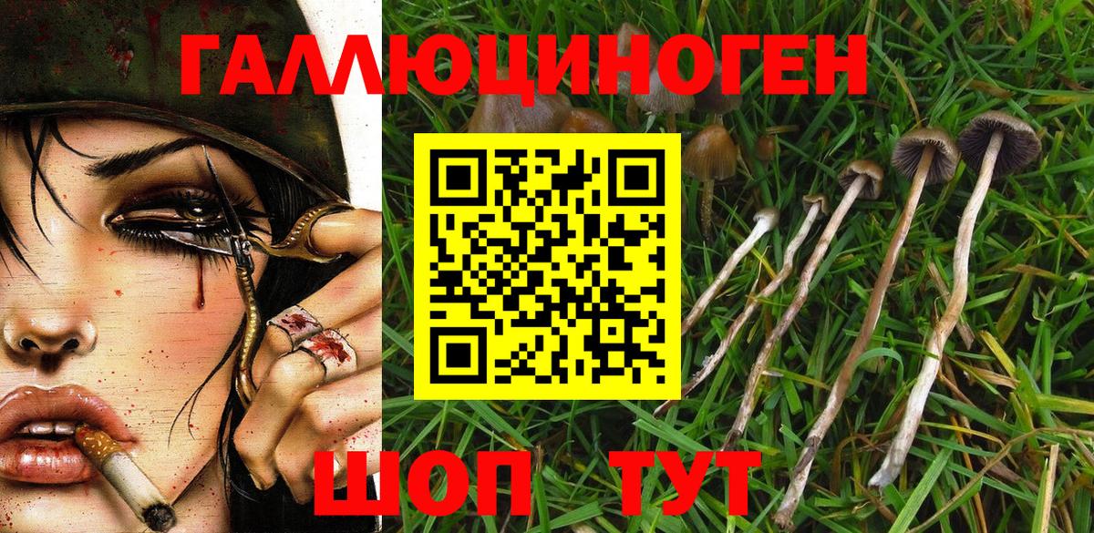 Псилоцибиновые грибы Psilocybine cubensis  как найти   Вход с VPN  Минеральные Воды  Псилоцибиновые грибы MAGIC MUSHROOMS 