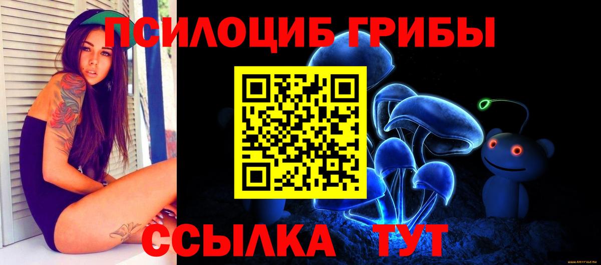 Псилоцибиновые грибы Cubensis Минеральные Воды